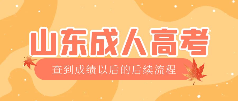 岚山成考查完成绩以后做什么，岚山成考网